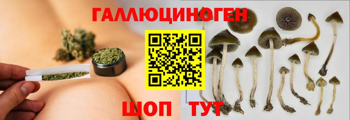 Галлюциногенные грибы Magic Shrooms  Вход с VPN  Юрга  Галлюциногенные грибы Magic Shrooms 